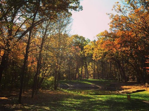 Hole 7