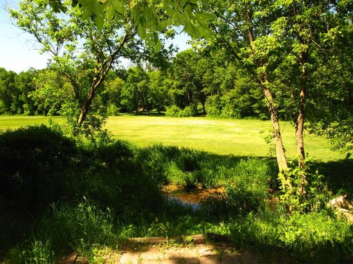 Hole 14
