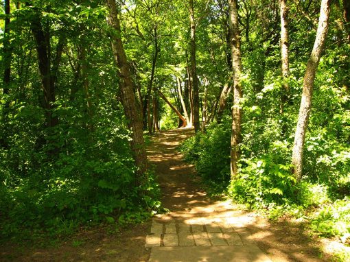 Hole 23