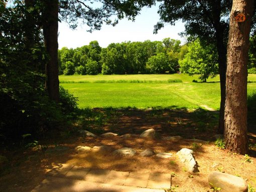 Hole 24